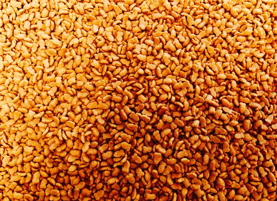 compressed-dry food 1 compressed-dry food 1